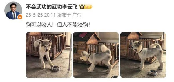 股票优配 人民造车家——BYD