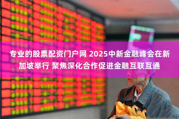 专业的股票配资门户网 2025中新金融峰会在新加坡举行 聚焦深化合作促进金融互联互通
